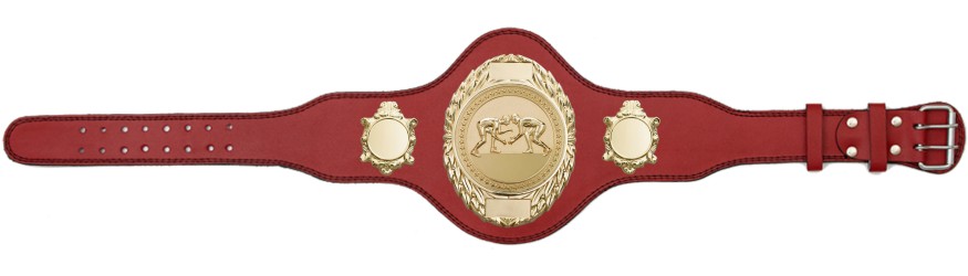 GRAPPLING CHAMPIONSHIP BELT-PLT286/G/GRAPG-4 COLOURS